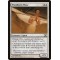 Windborn Muse