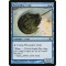Horseshoe Crab