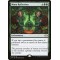 Mana Reflection