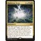 Maelstrom Nexus