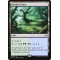 Flooded Grove