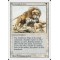 Savannah Lions