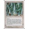 Wall of Swords