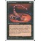 Pit Scorpion