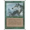 Aspect of Wolf
