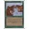 Durkwood Boars