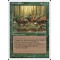 Elven Riders