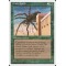 Giant Spider
