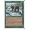 Grizzly Bears