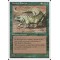 Thicket Basilisk