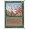 Untamed Wilds