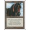 Ebony Horse