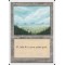 Plains