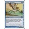 Coastal Hornclaw