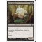 Bog Wraith