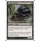 Plague Beetle