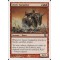 Lesser Gargadon