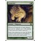 Fungusaur