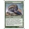 Spined Wurm