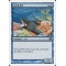 Coral Eel