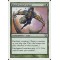 Blanchwood Armor