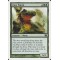 Craw Wurm