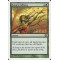 Natural Affinity