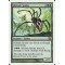 Silklash Spider