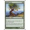 Utopia Tree