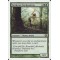 Verduran Enchantress