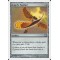 Angel's Feather