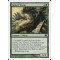 Spined Wurm