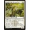Knight of the Skyward Eye