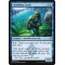 Coralhelm Guide