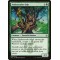 Ambassador Oak