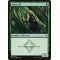 Arbor Elf