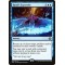 Baral's Expertise