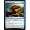 Shipwreck Moray
