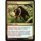 Outland Boar