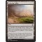 Evolving Wilds
