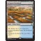 Irrigated Farmland