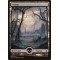 Swamp