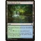Woodland Stream