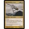 Waveskimmer Aven