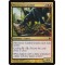 Monstrous Carabid