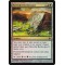 Firewild Borderpost