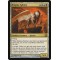 Enigma Sphinx