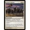 Cathars' Crusade