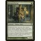 Diregraf Escort