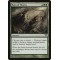 Rain of Thorns
